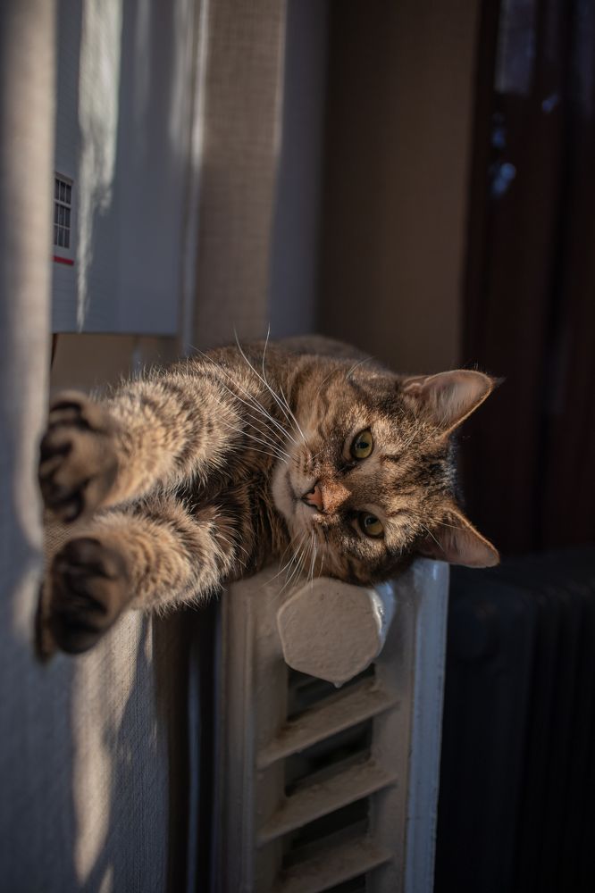 Photograph by Konstantin Pavlenko