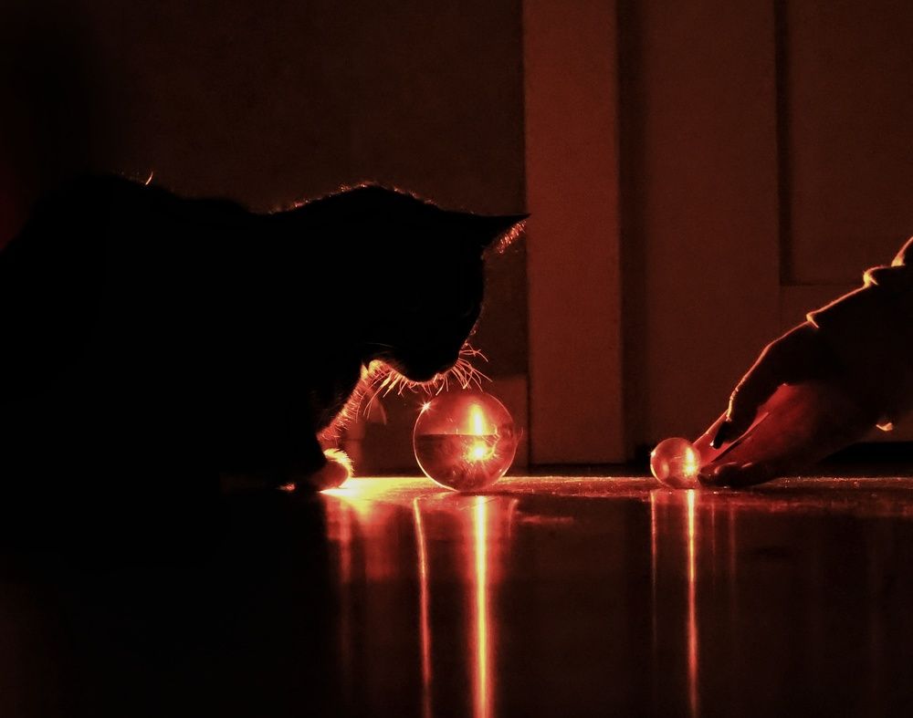 Photograph by Olga Asson