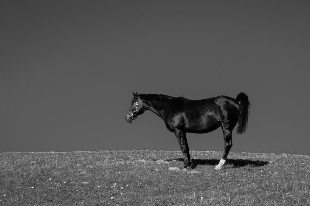 Photograph by Игорь Блинов