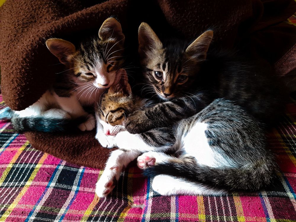 Photograph by AJAY KUMAR