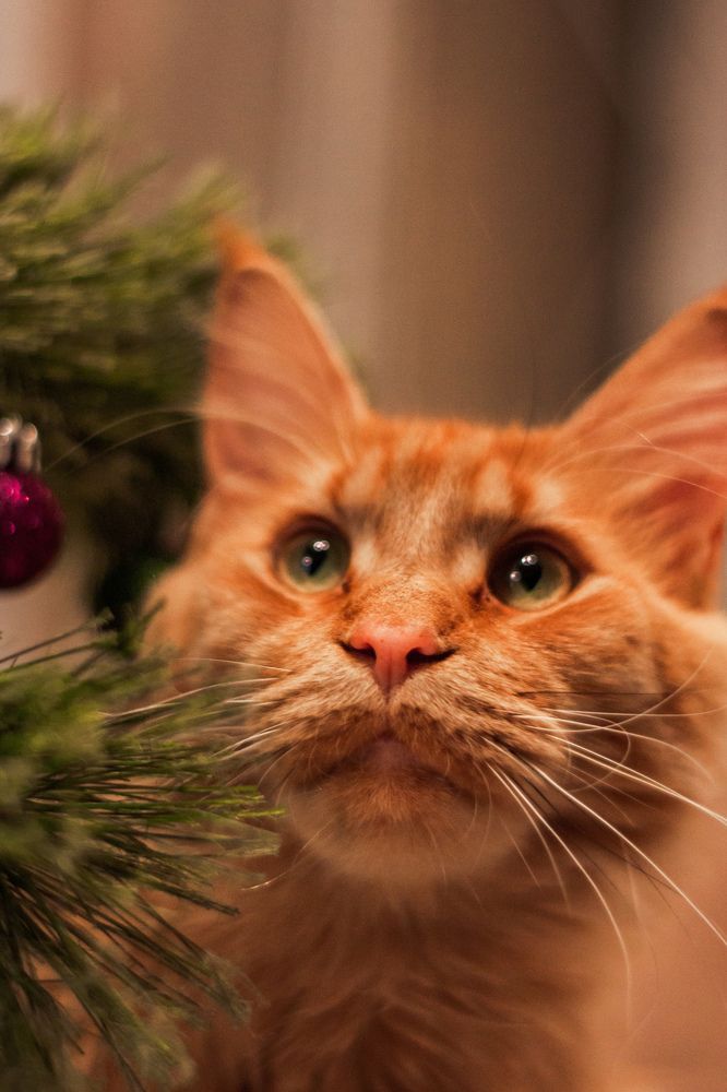 Photograph by Nika Prokopenko