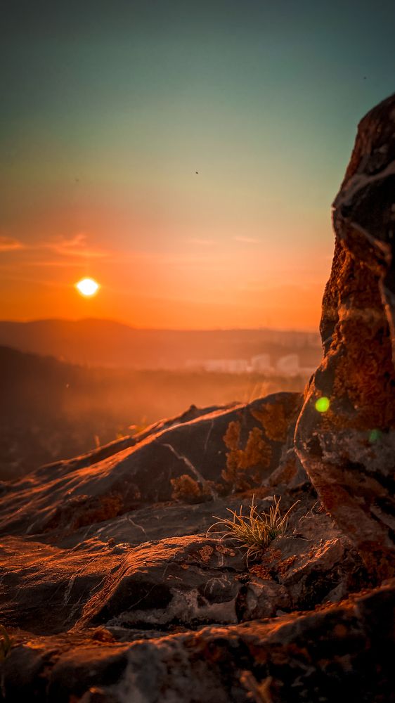 Photograph by Роман Алейников