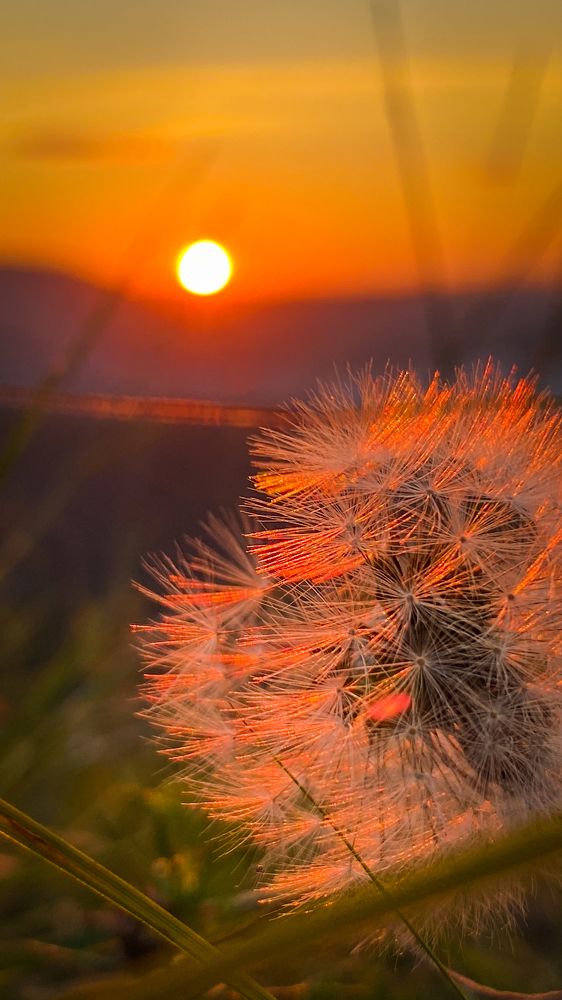 Photograph by Роман Алейников