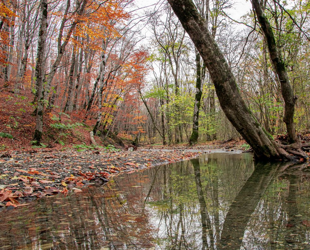 Photograph by Сергей Христинич