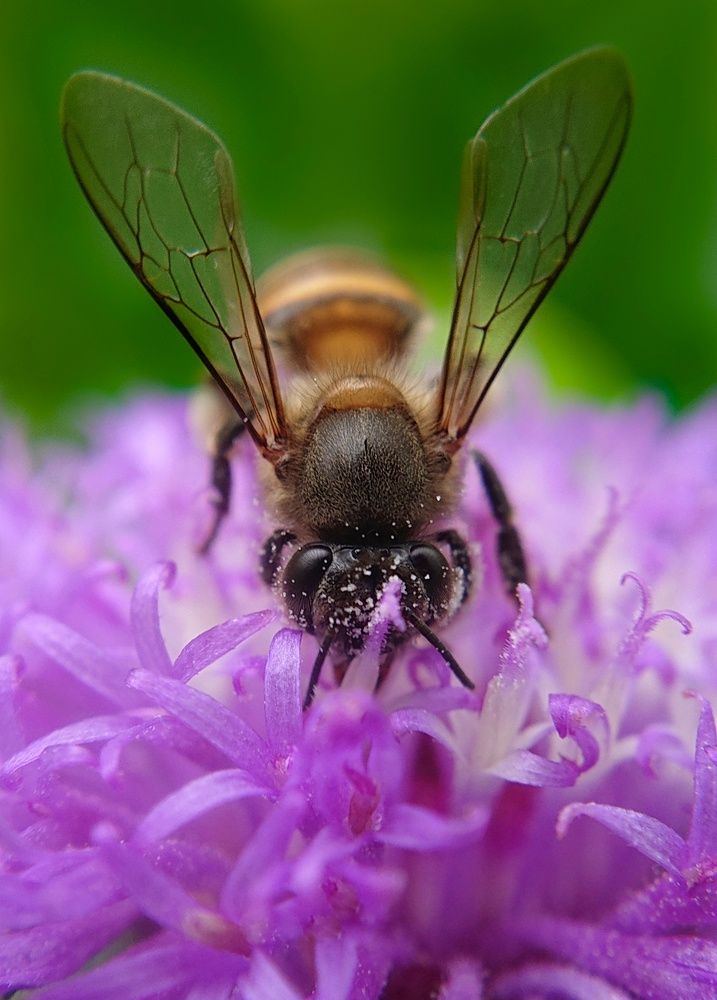 Photograph by Kasun Wickramasinghe