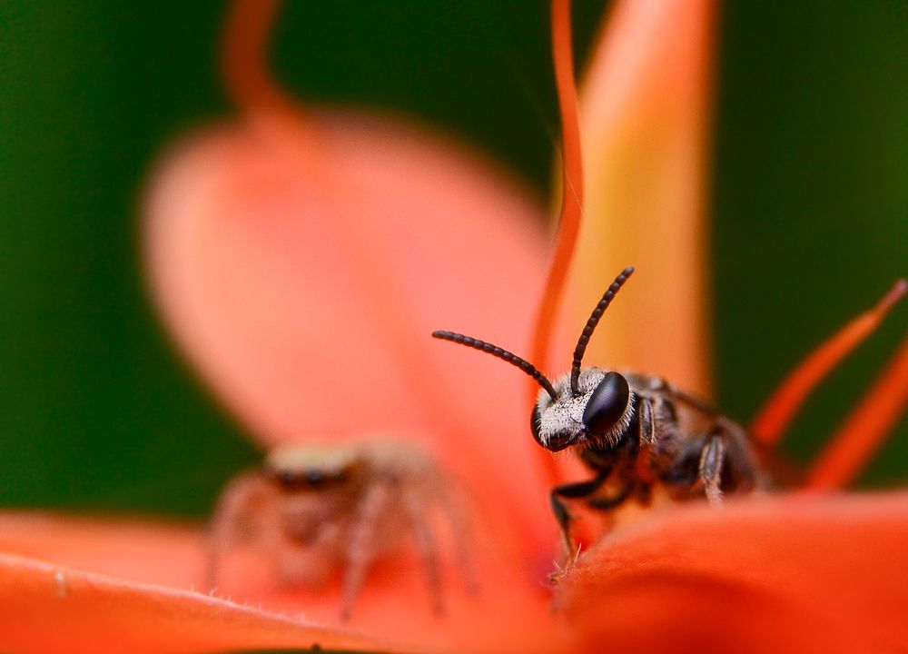 Photograph by Kasun Wickramasinghe