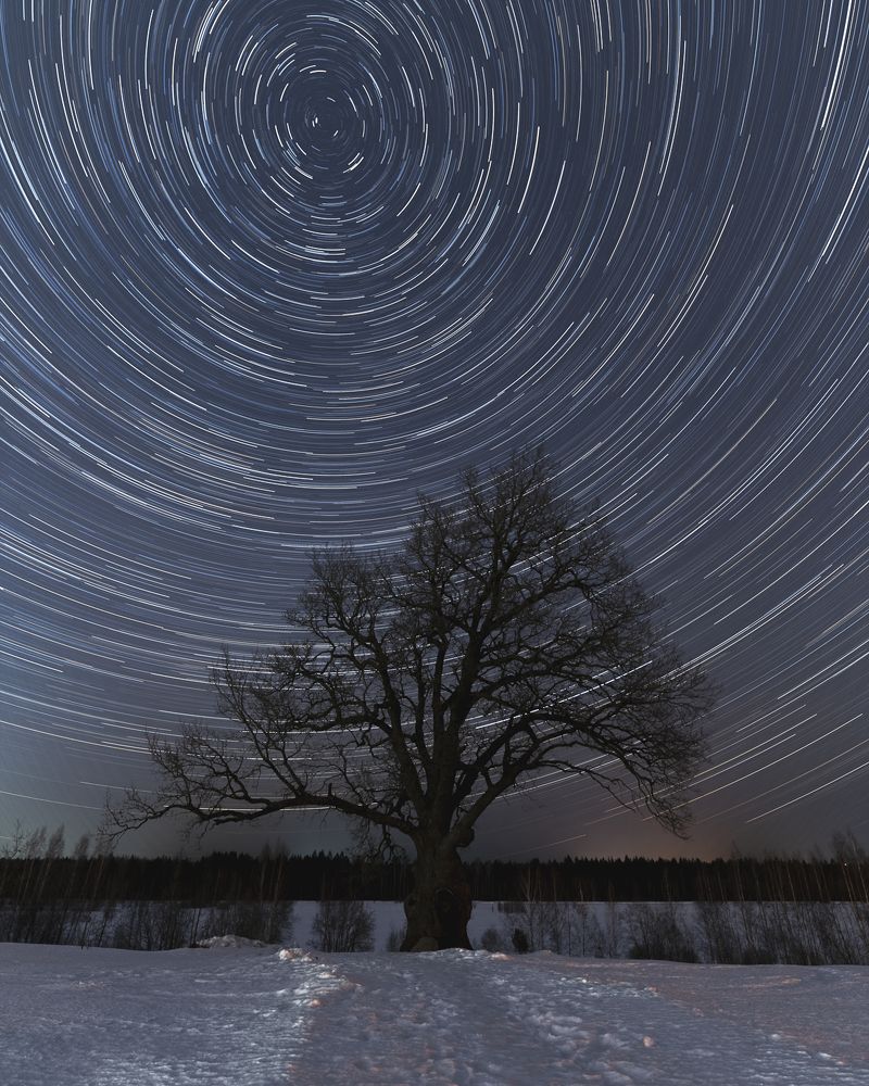 Photograph by Михайлов Иван