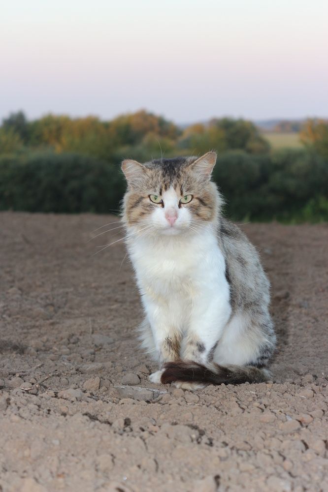 Photograph by Елена Савицкая