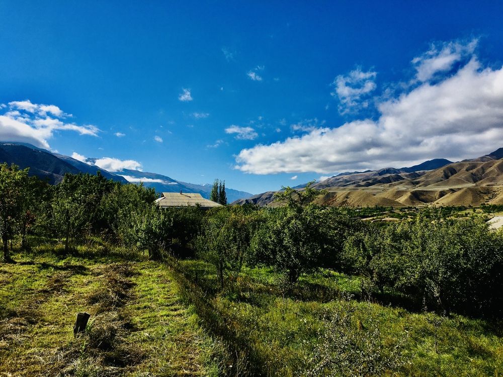 Photograph by Елена Кадирова