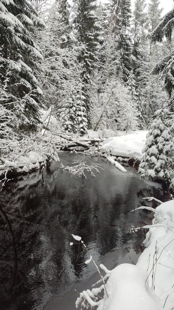 Photograph by Ирина Кузьмина