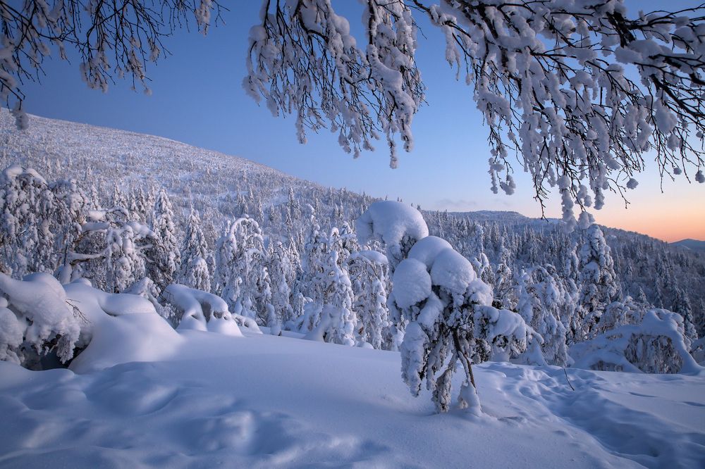 Сахалин, снежное раздолье