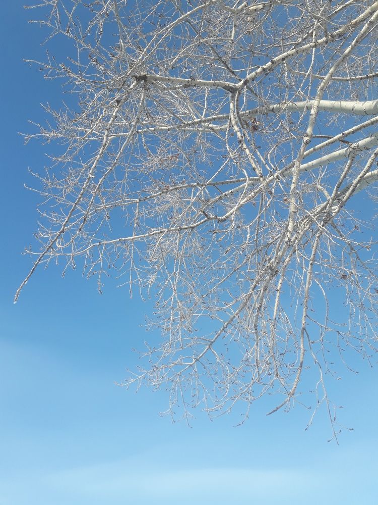 Photo #8927526