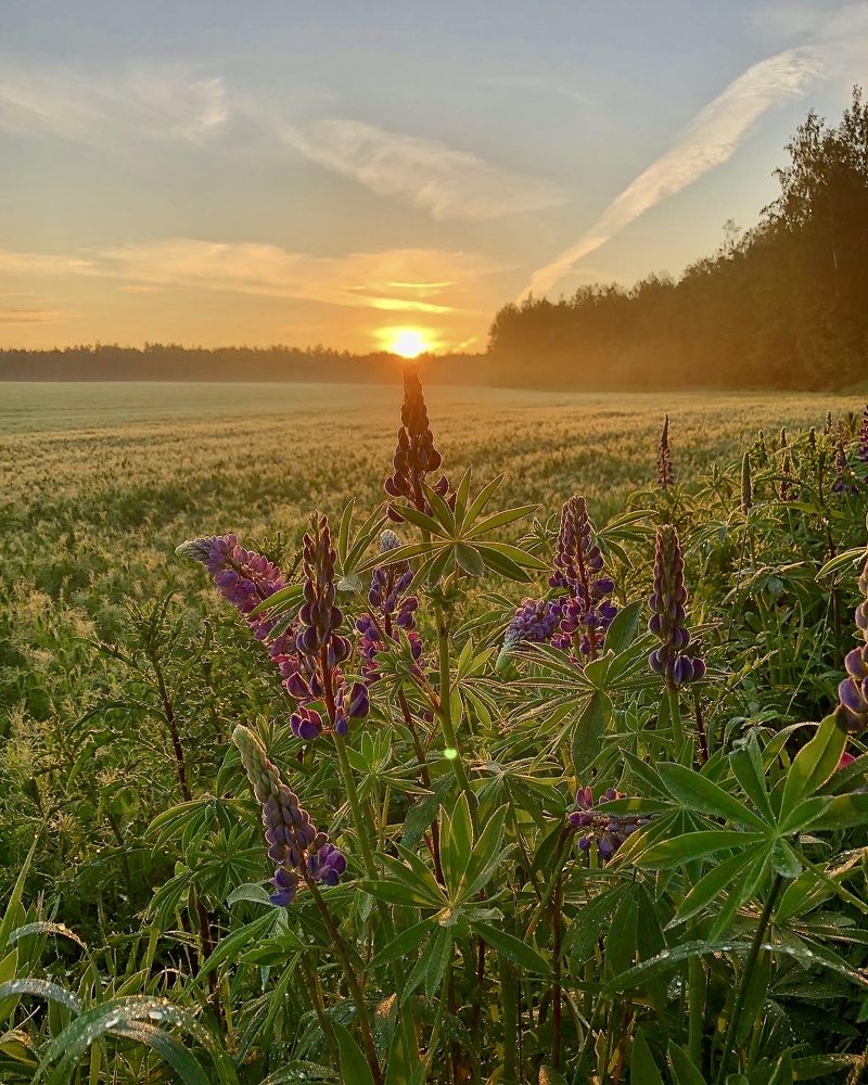 Photograph by Лариса Акинчиц