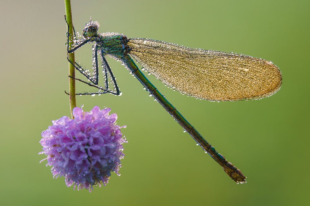 Photograph by Josipa Sabol