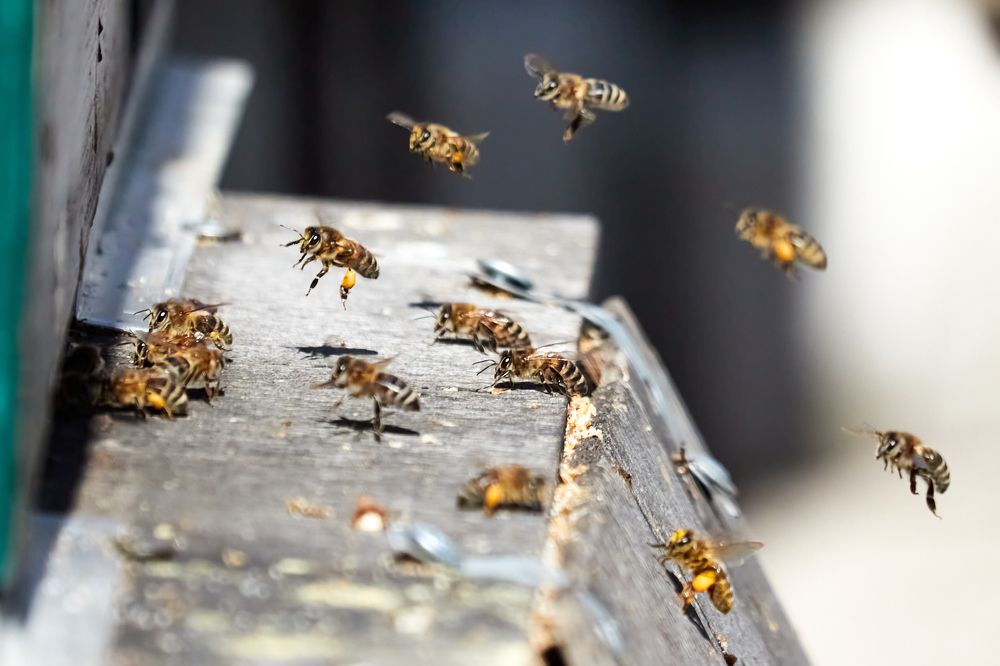 Photograph by Андрей Востриков