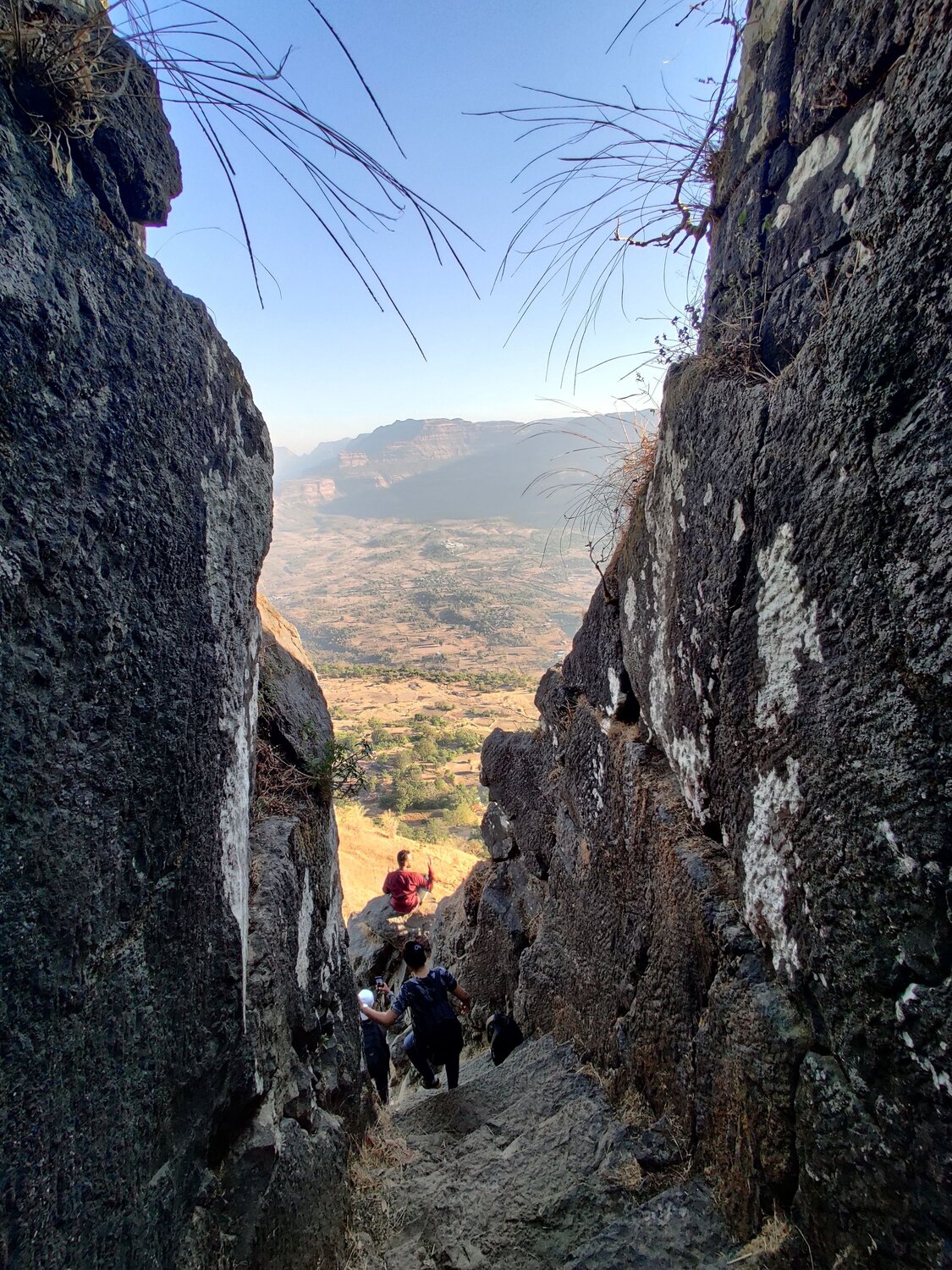 Photo #8927768