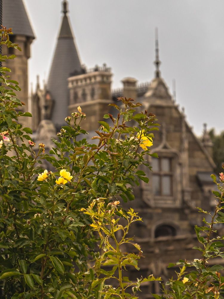 Photograph by Светлана Стаценко