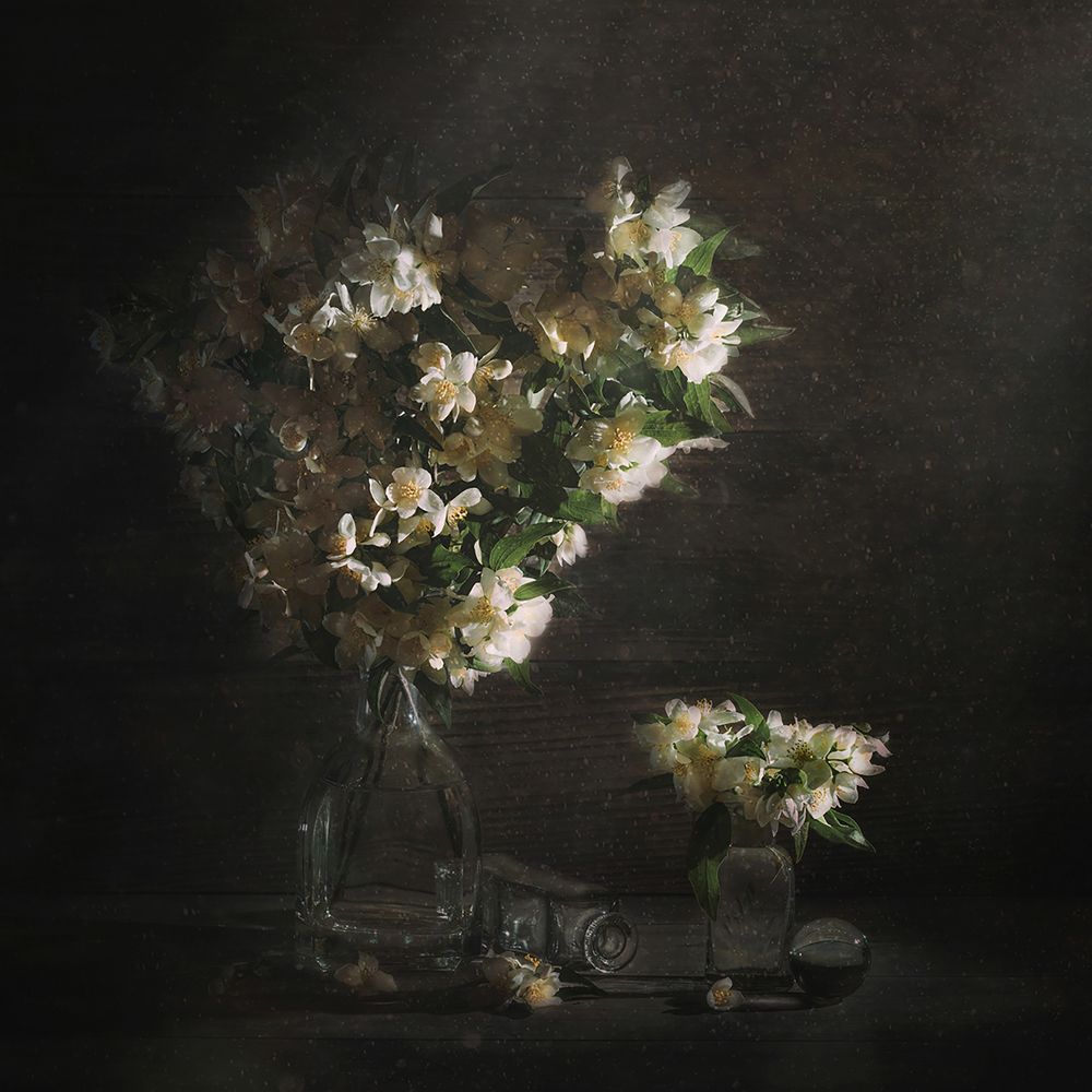 Photograph by MVO (Марк Орлов)