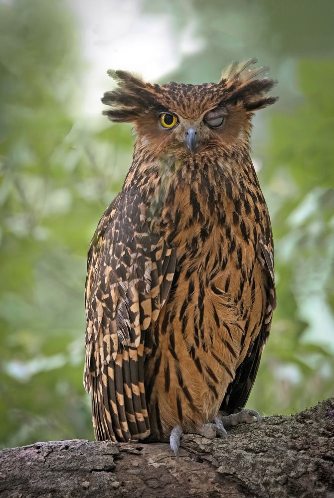 Photograph by Sandip Patil