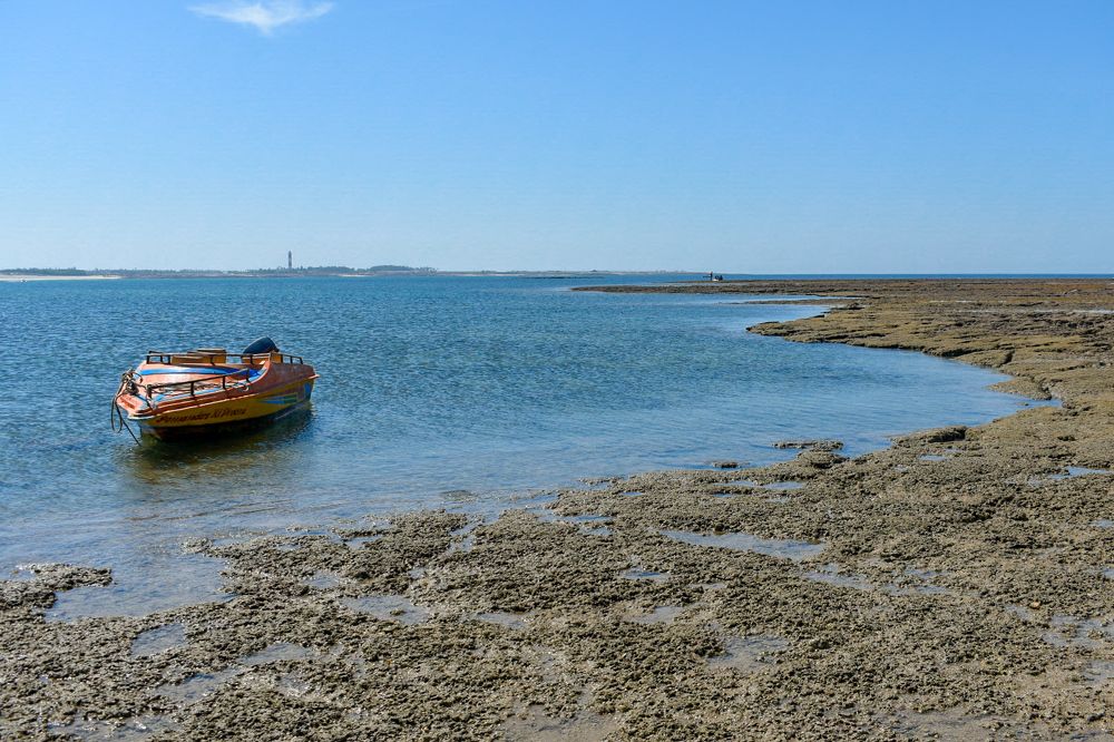 Фотография автора ABHISHEK SHAH