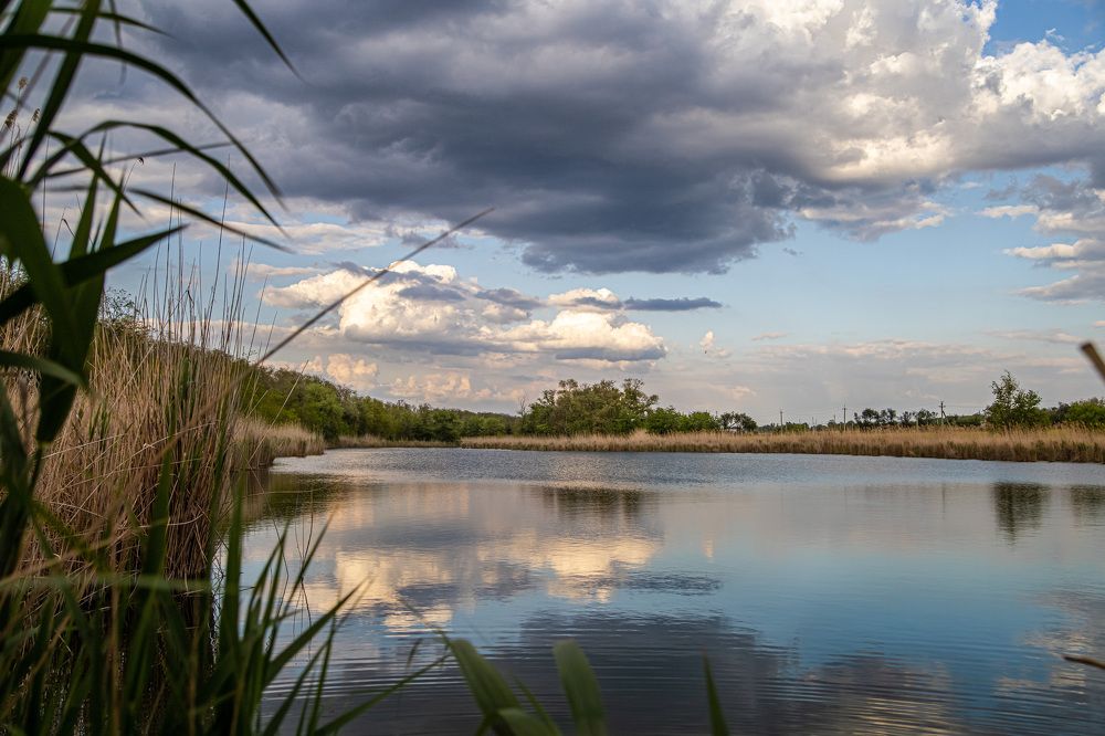 Photograph by Светлана Чужданова