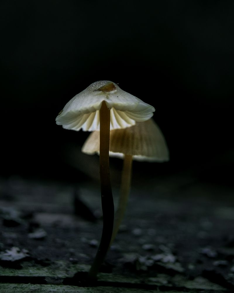 Photograph by Наталья Балабанова