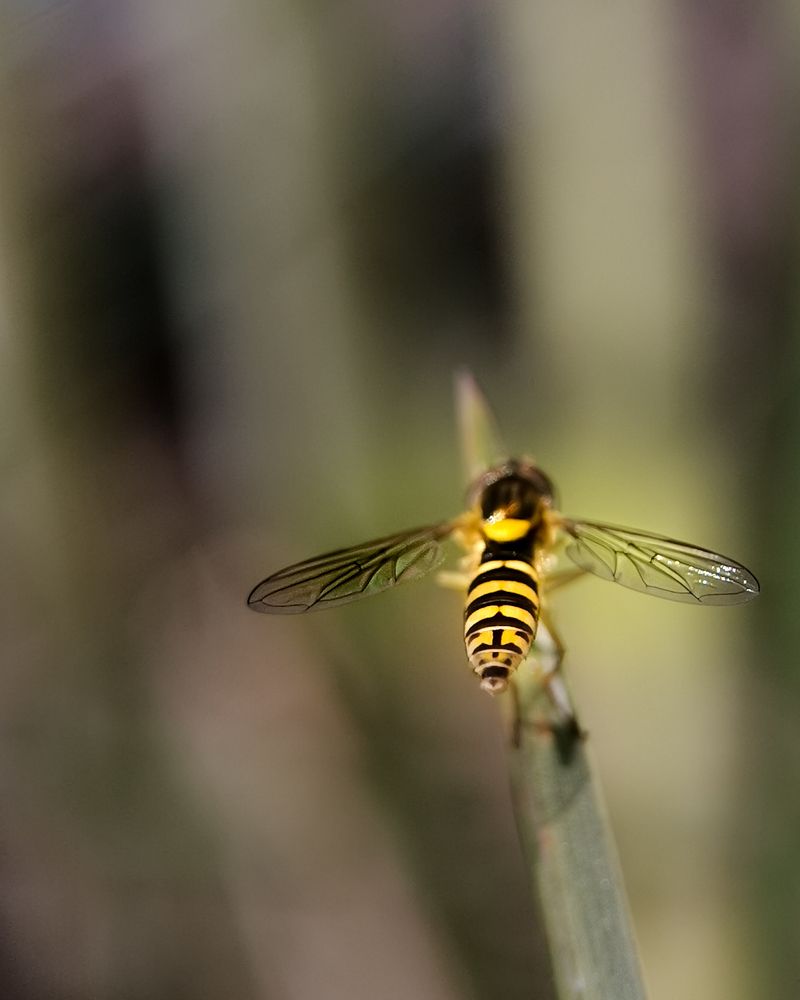 Photograph by Наталья Балабанова