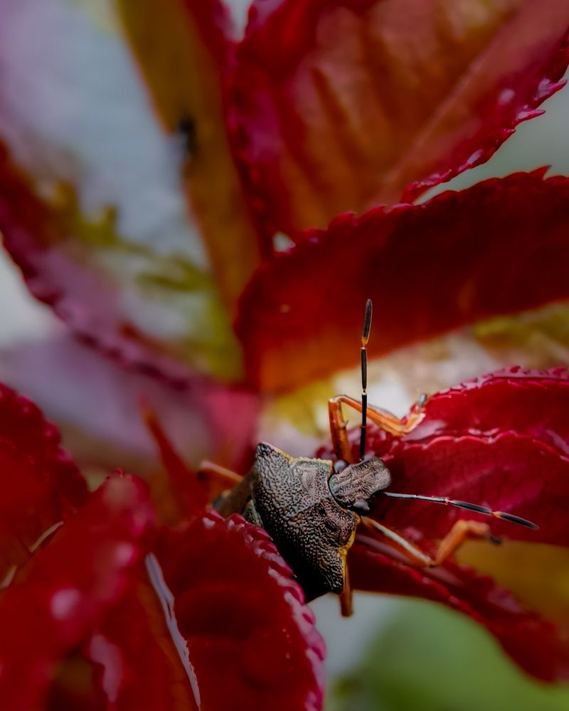 Photograph by Наталья Балабанова