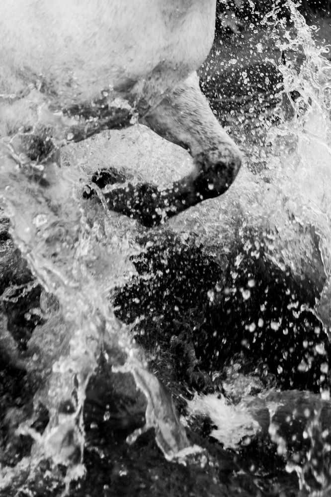 Photograph by Александра Косова