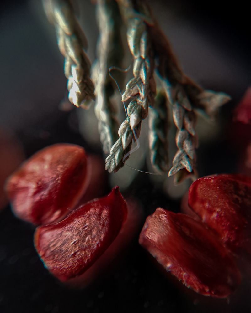 Photograph by Наталья Балабанова