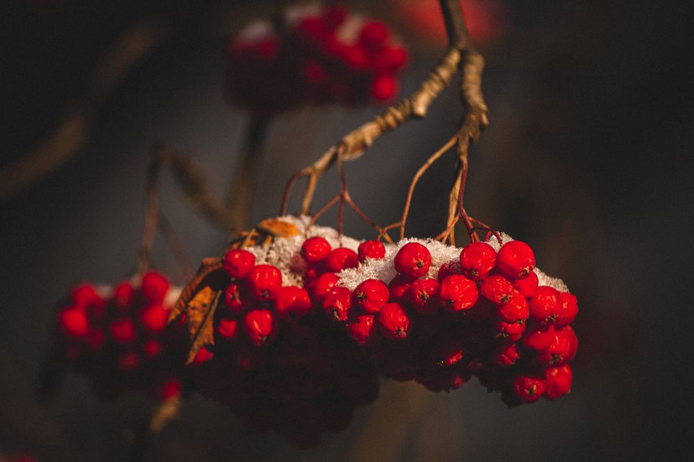 Photograph by Евгений Авдеев