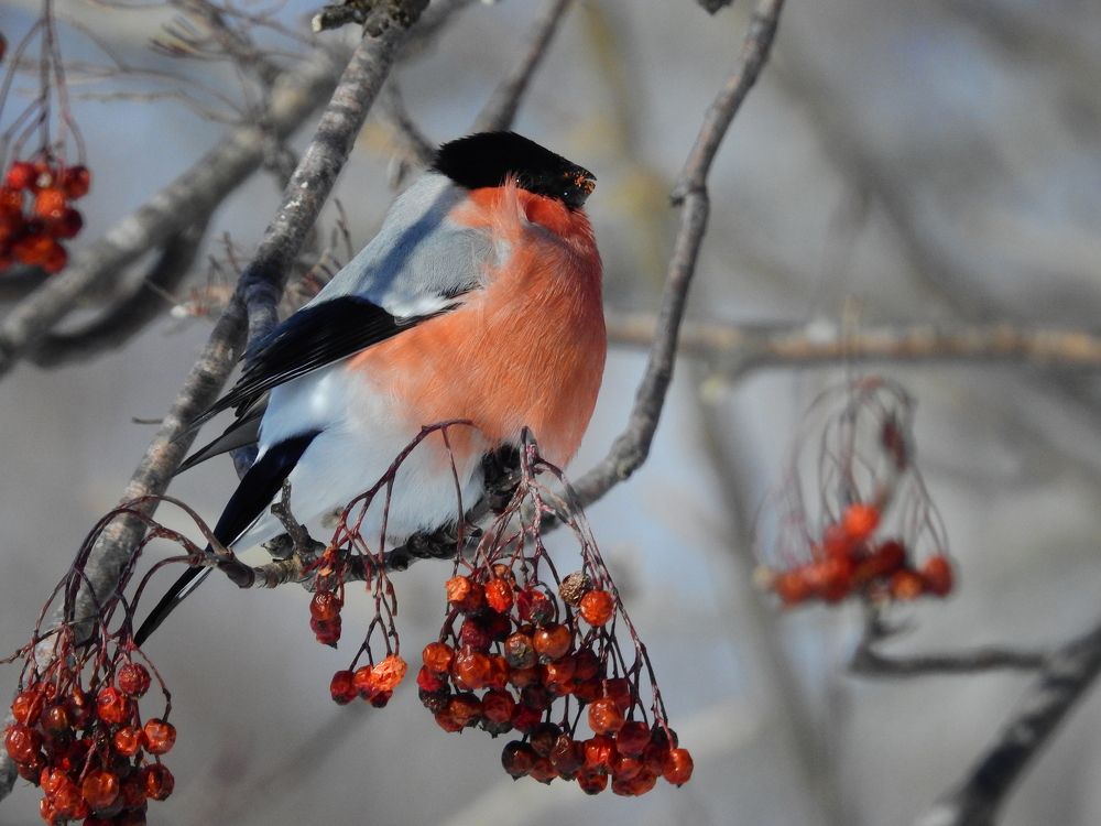 Photograph by Дмитрий Юдин