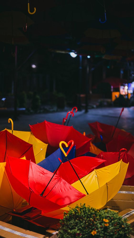 Photograph by Зелемхан Темирбулатов