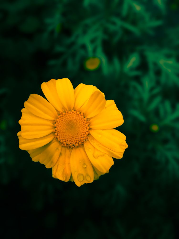 Photograph by Faizan Faizanshahid