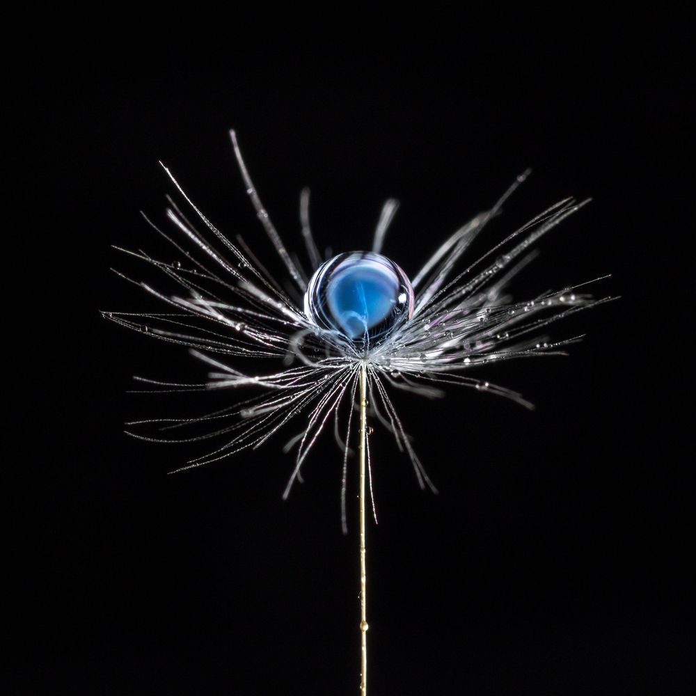 Photograph by Виталий Олещук