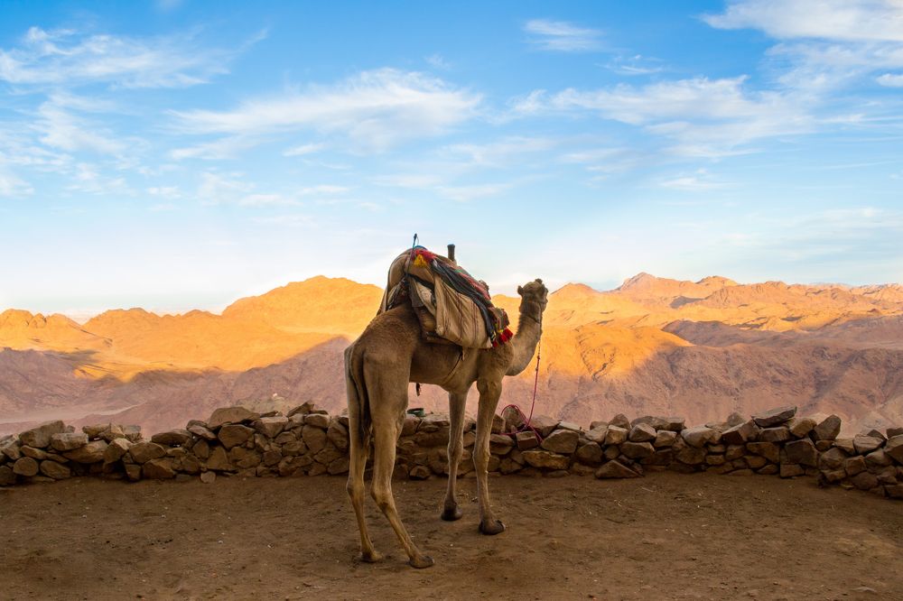 Photograph by Aly Amr