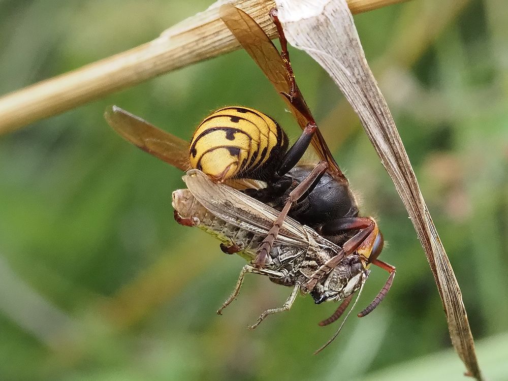 Photograph by Сергей Духанин