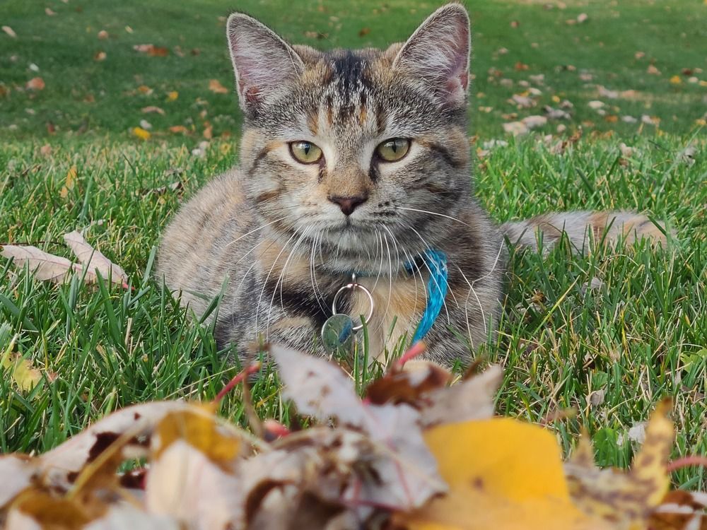 Photograph by Tiffanie Green