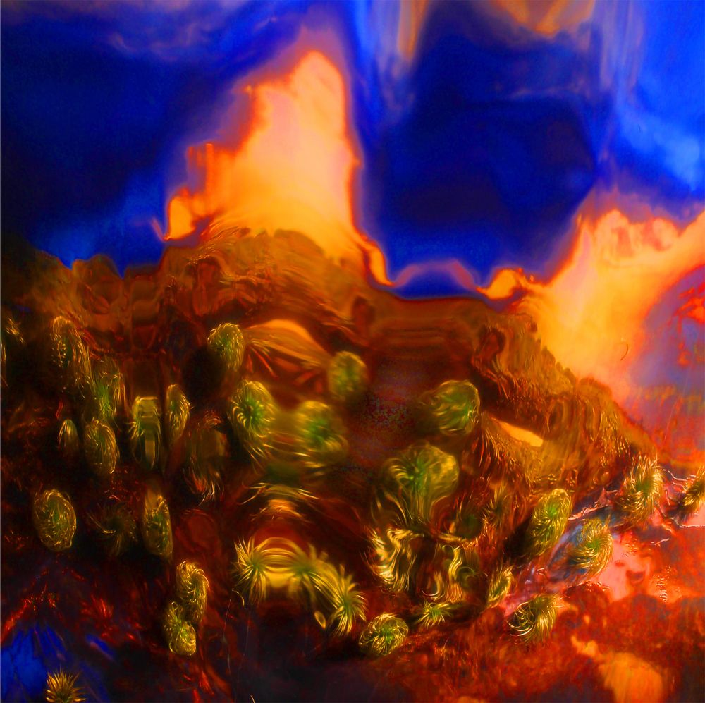 Photograph by Невидимов Вячеслав