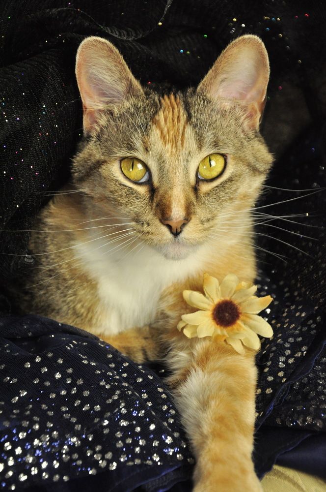 Photograph by Tiffanie Green