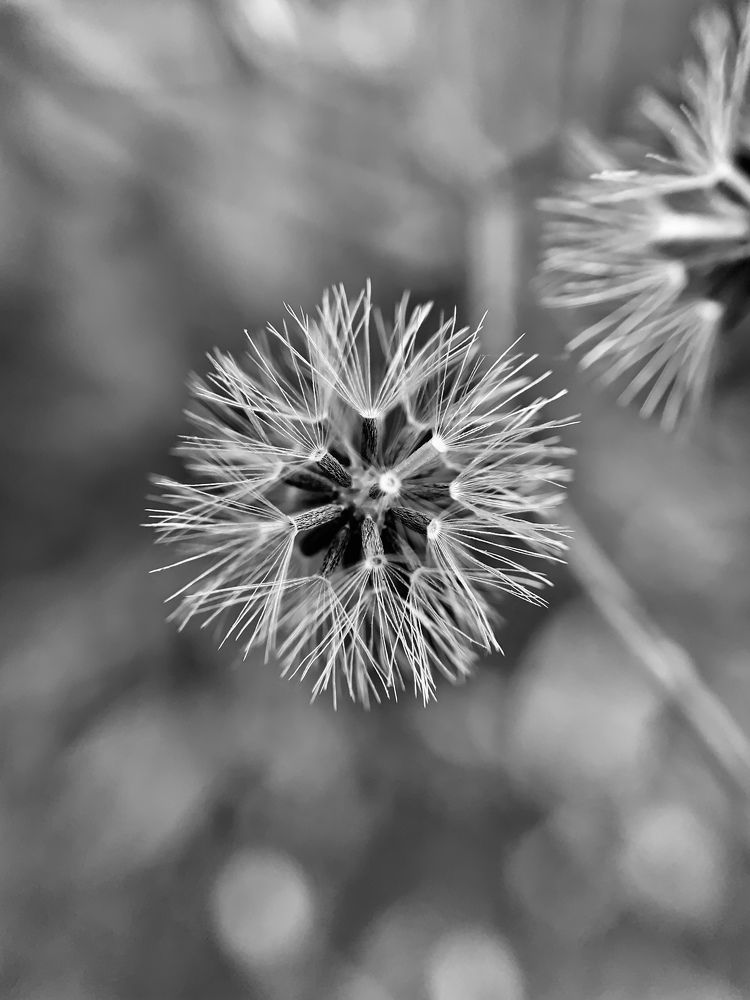 Photograph by Vikas Gangpari