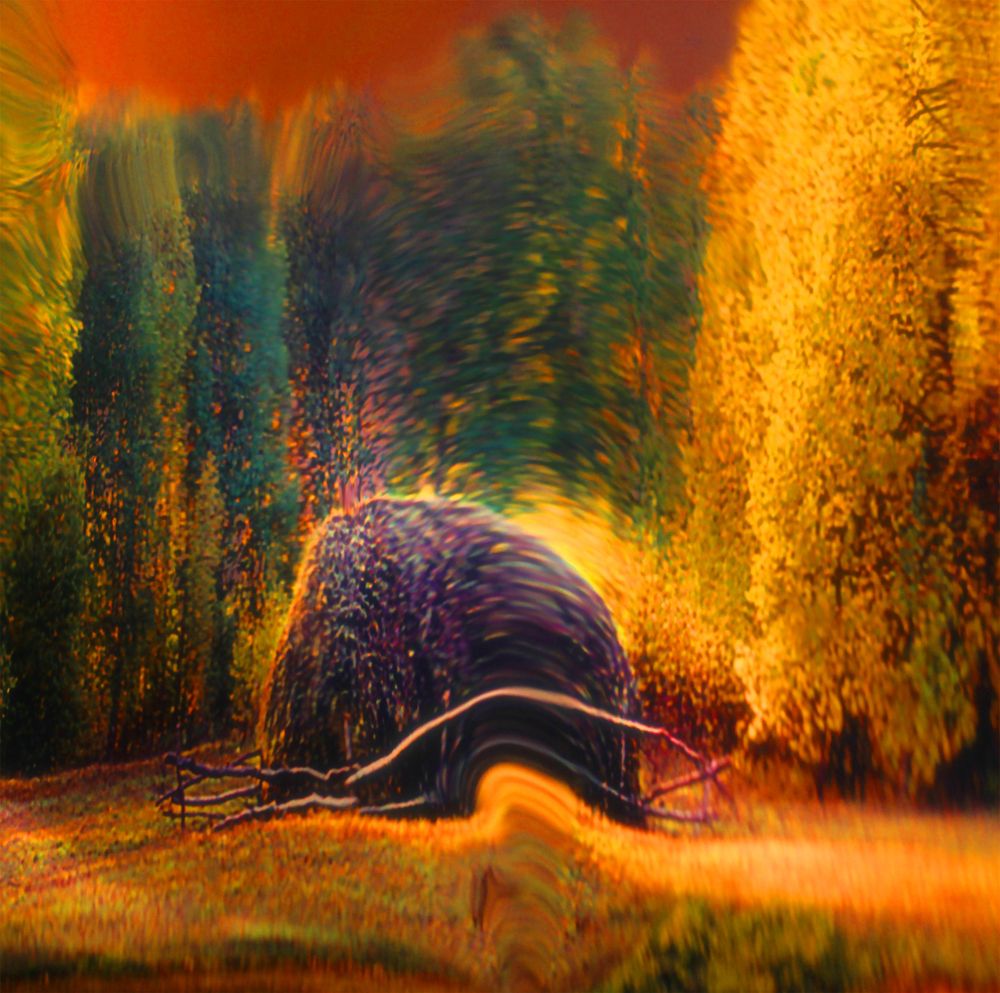 Photograph by Невидимов Вячеслав