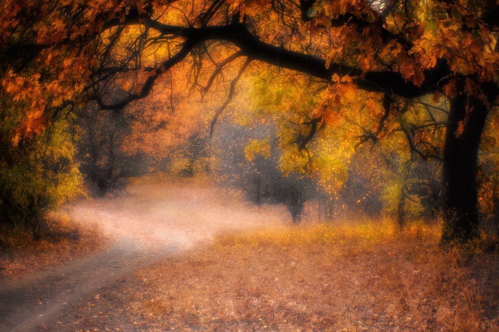 Фотография автора Игорь Баранов