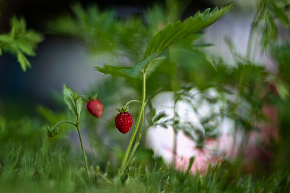 Photograph by Эдуард Колобошников