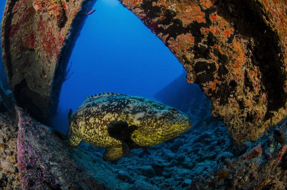 Photograph by ANTONIO RUVER BANDEIRA