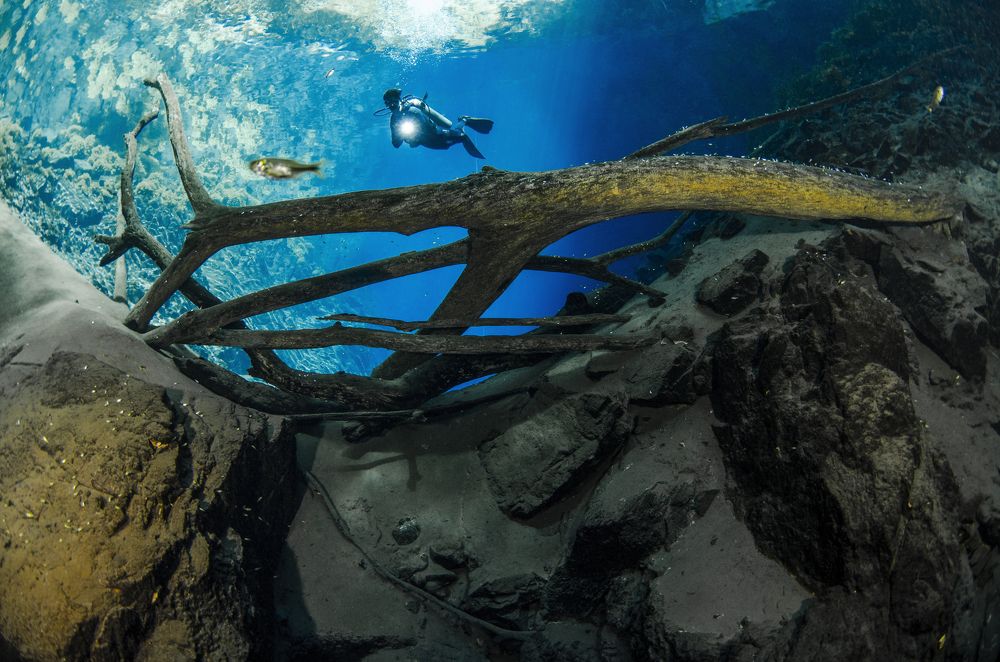 Photograph by ANTONIO RUVER BANDEIRA