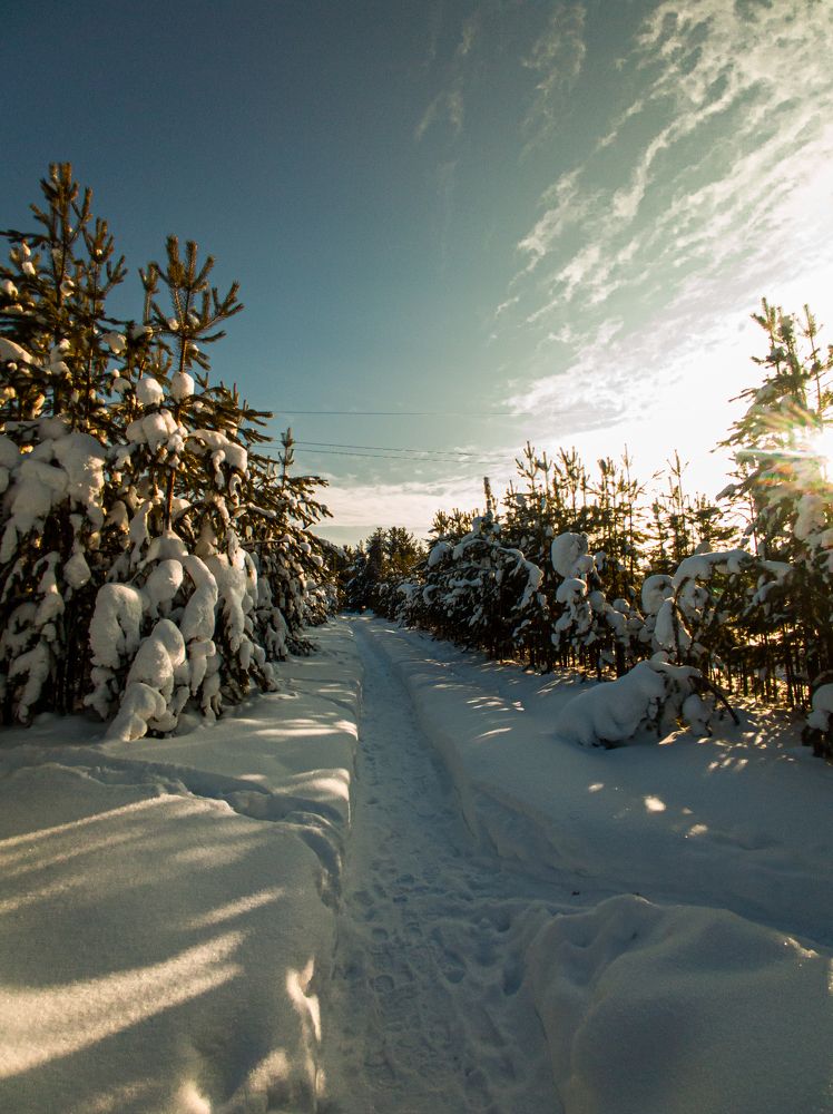 Фотография автора Данил Сорокин