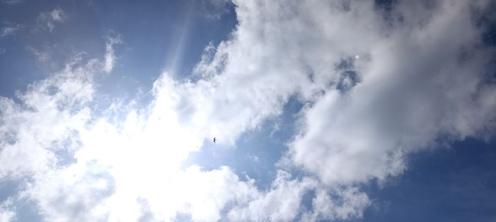 Photograph by Ирина