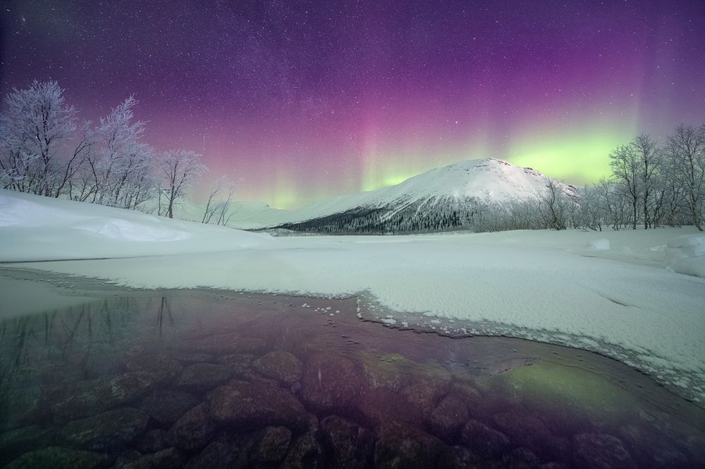 Photograph by Елена Ермолина