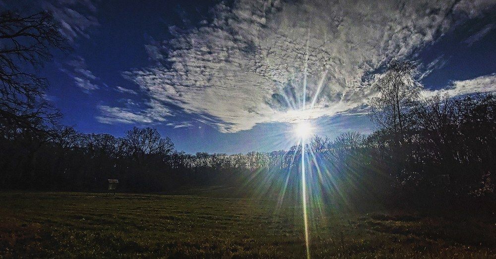 Photograph by Maja Micovic